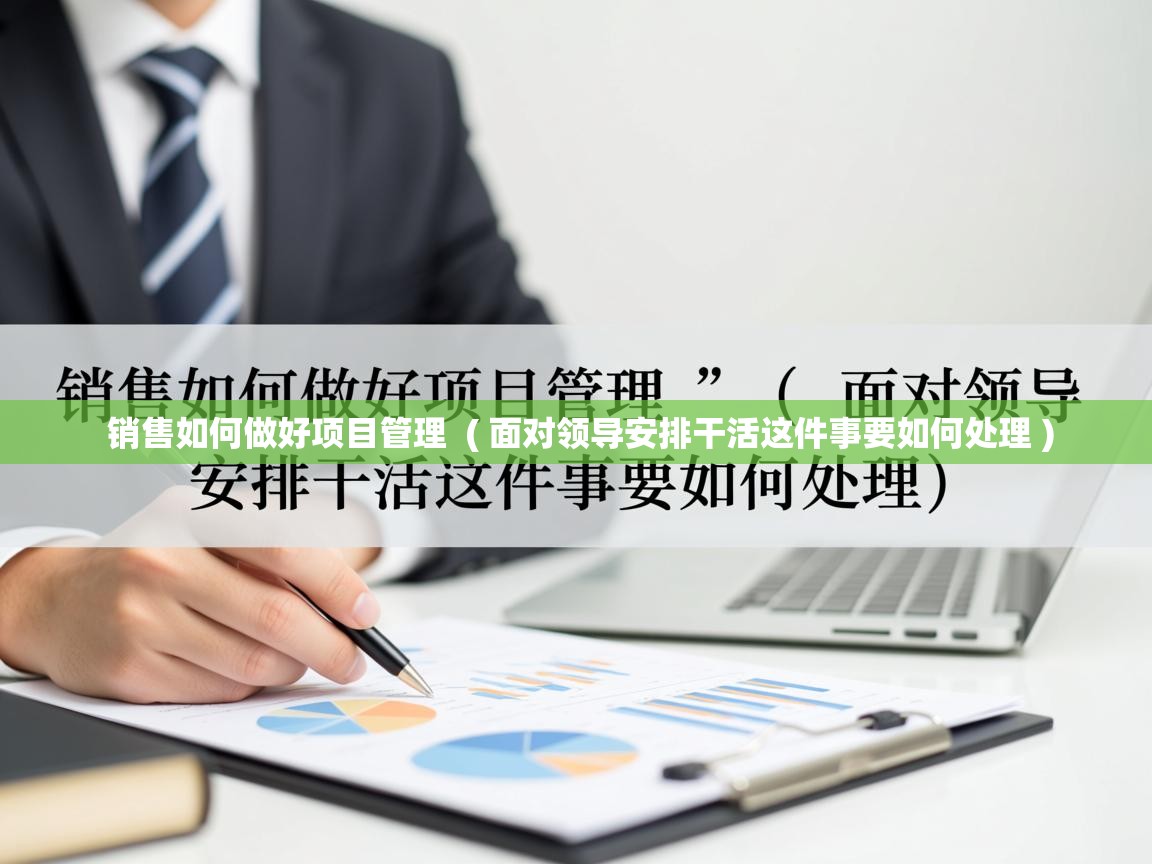 详细阅读: 销售如何做好项目管理 ( 面对领导安排干活这件事要如何处理 ) 销售如何做好项目管理 ( 面对领导安排干活这件事要如何处理 )