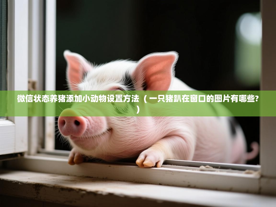 微信状态养猪添加小动物设置方法  ( 一只猪趴在窗口的图片有哪些? )  微信状态养猪添加小动物设置方法  ( 一只猪趴在窗口的图片有哪些? )
