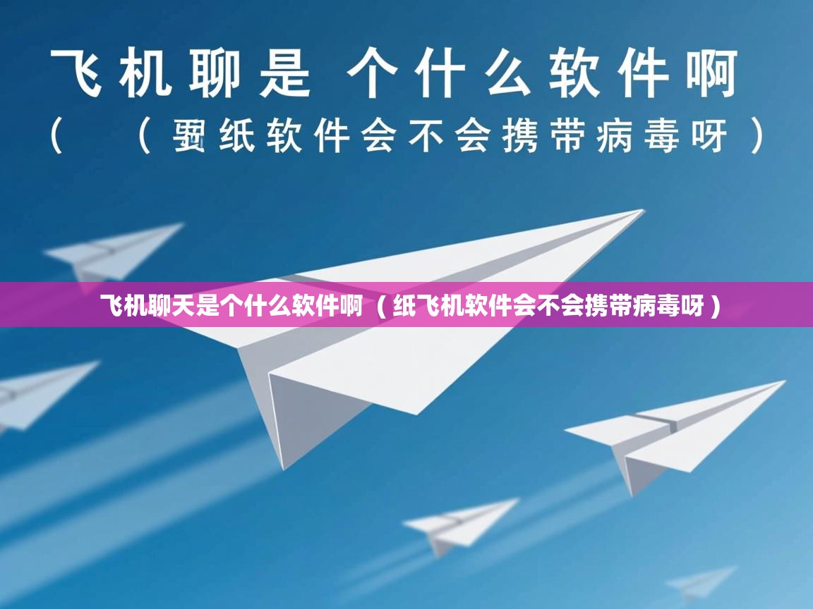  飞机聊天是个什么软件啊  ( 纸飞机软件会不会携带病毒呀 )