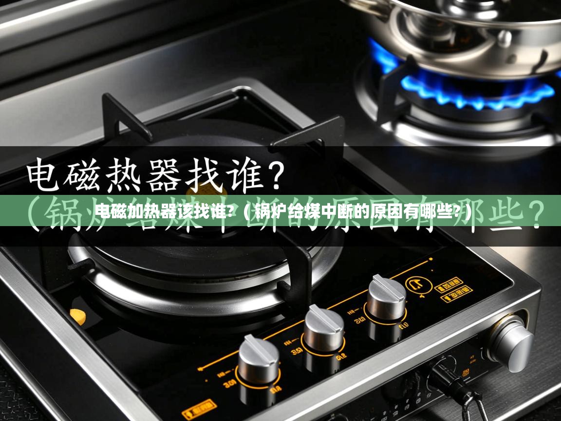  电磁加热器该找谁?  ( 锅炉给煤中断的原因有哪些? )