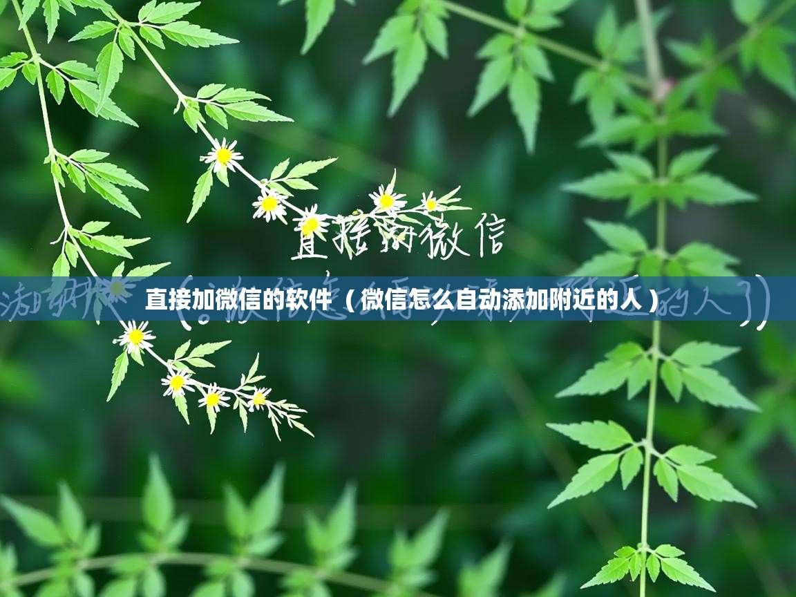 详细阅读: 直接加微信的软件  ( 微信怎么自动添加附近的人 )  直接加微信的软件  ( 微信怎么自动添加附近的人 )