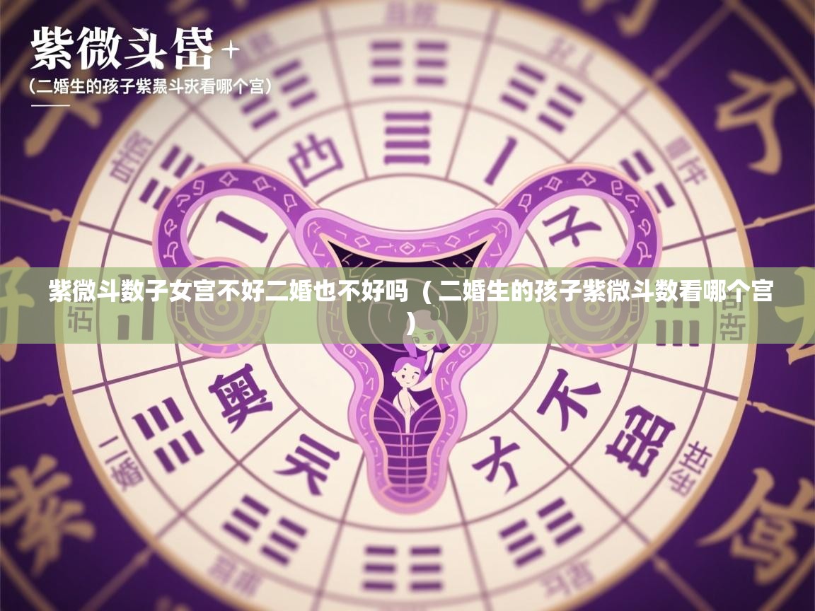 详细阅读: 紫微斗数子女宫不好二婚也不好吗  ( 二婚生的孩子紫微斗数看哪个宫 )  紫微斗数子女宫不好二婚也不好吗  ( 二婚生的孩子紫微斗数看哪个宫 )