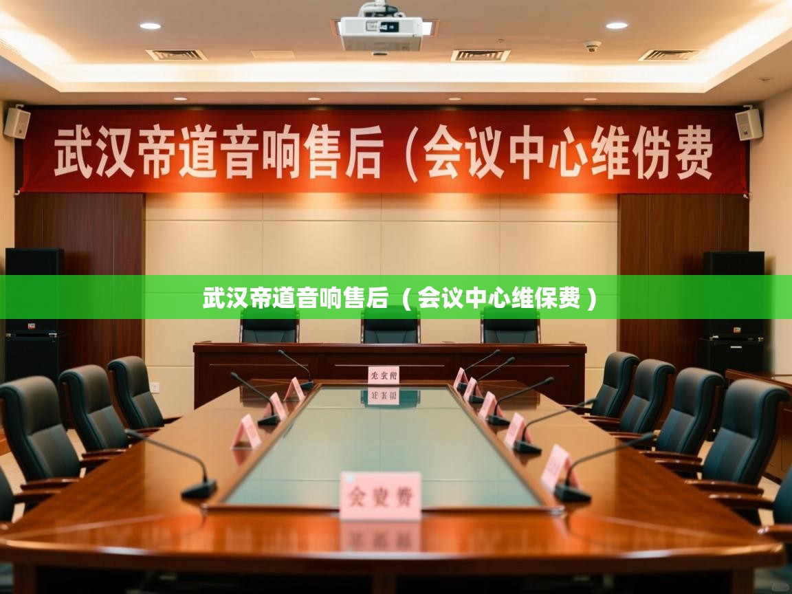  武汉帝道音响售后  ( 会议中心维保费 )