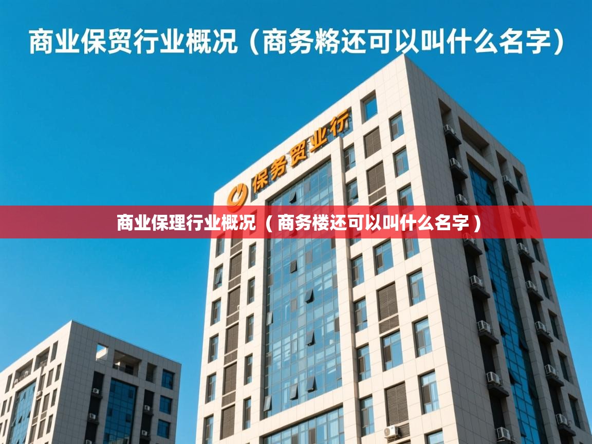  商业保理行业概况  ( 商务楼还可以叫什么名字 )