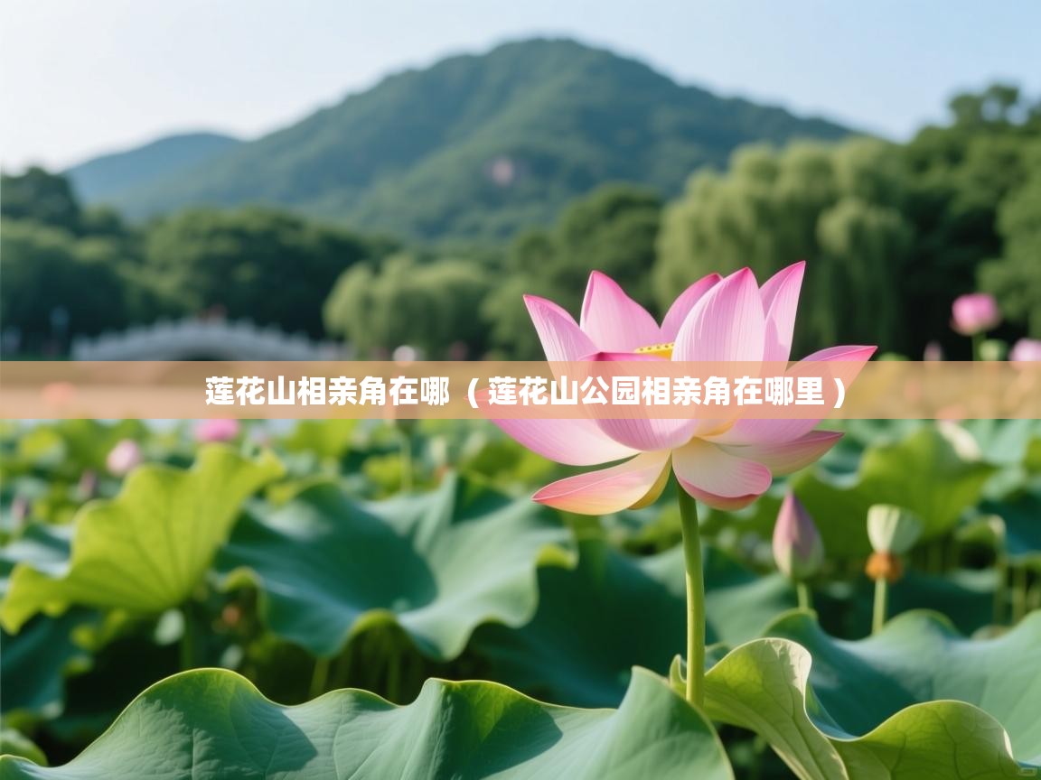 详细阅读: 莲花山相亲角在哪  ( 莲花山公园相亲角在哪里 )  莲花山相亲角在哪  ( 莲花山公园相亲角在哪里 )