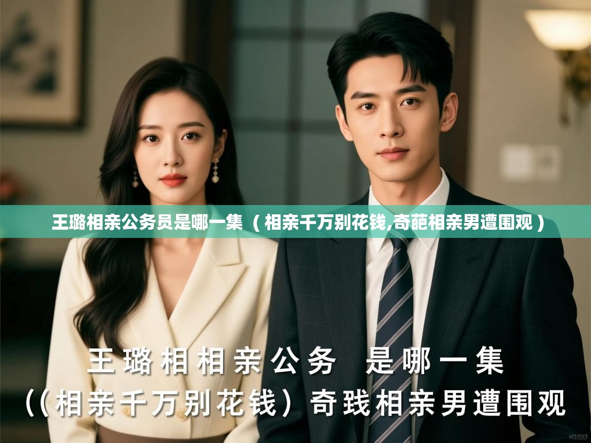  王璐相亲公务员是哪一集  ( 相亲千万别花钱,奇葩相亲男遭围观 )