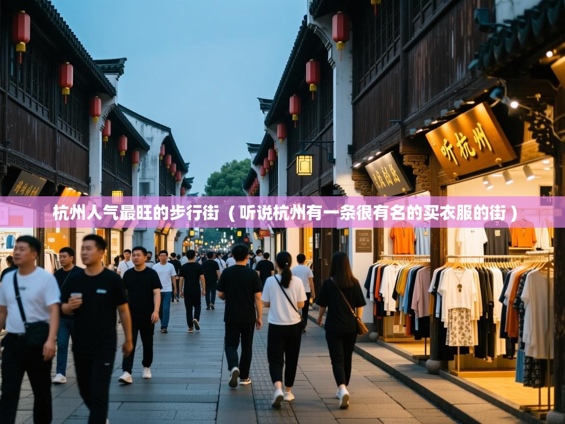  杭州人气最旺的步行街  ( 听说杭州有一条很有名的买衣服的街 )