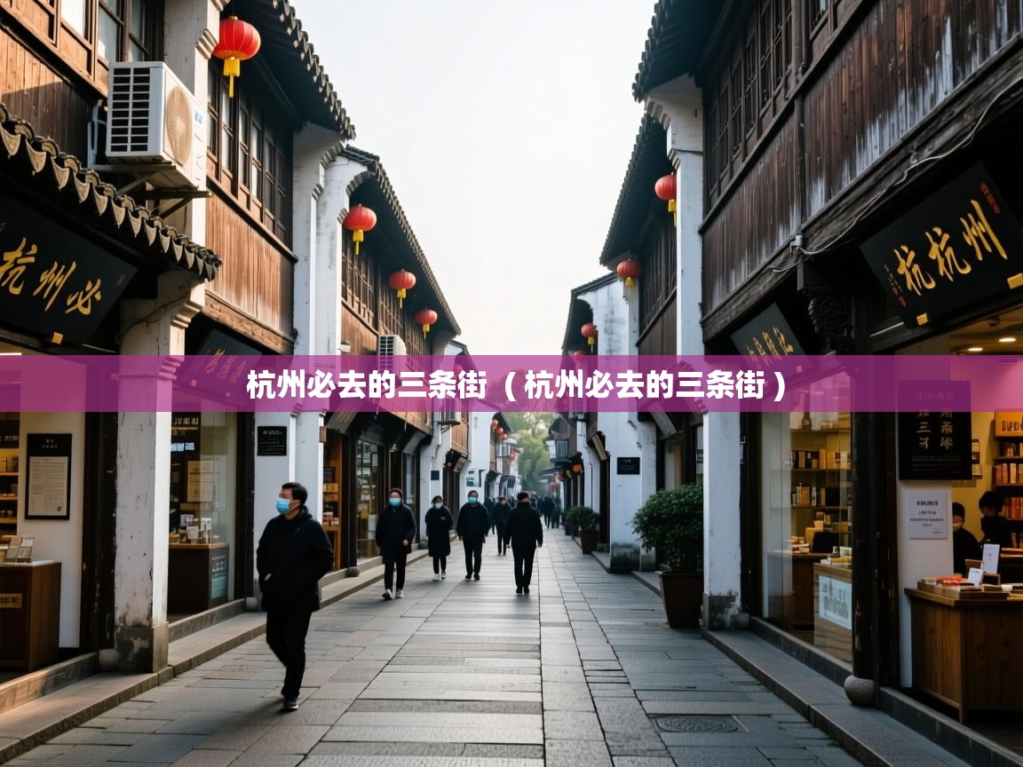  杭州必去的三条街  ( 杭州必去的三条街 )