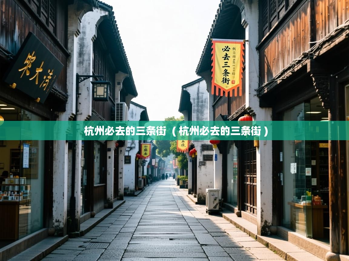  杭州必去的三条街  ( 杭州必去的三条街 )