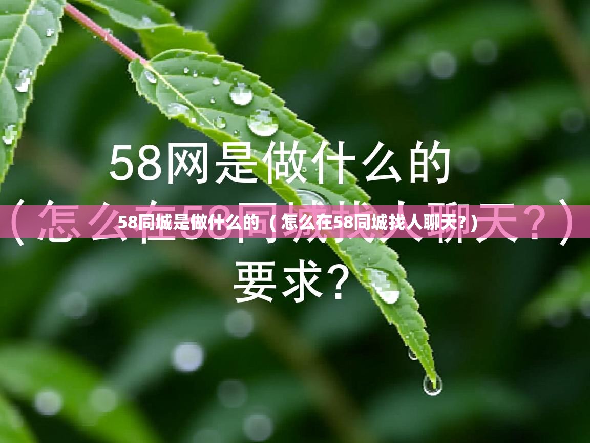  58同城是做什么的  ( 怎么在58同城找人聊天? )