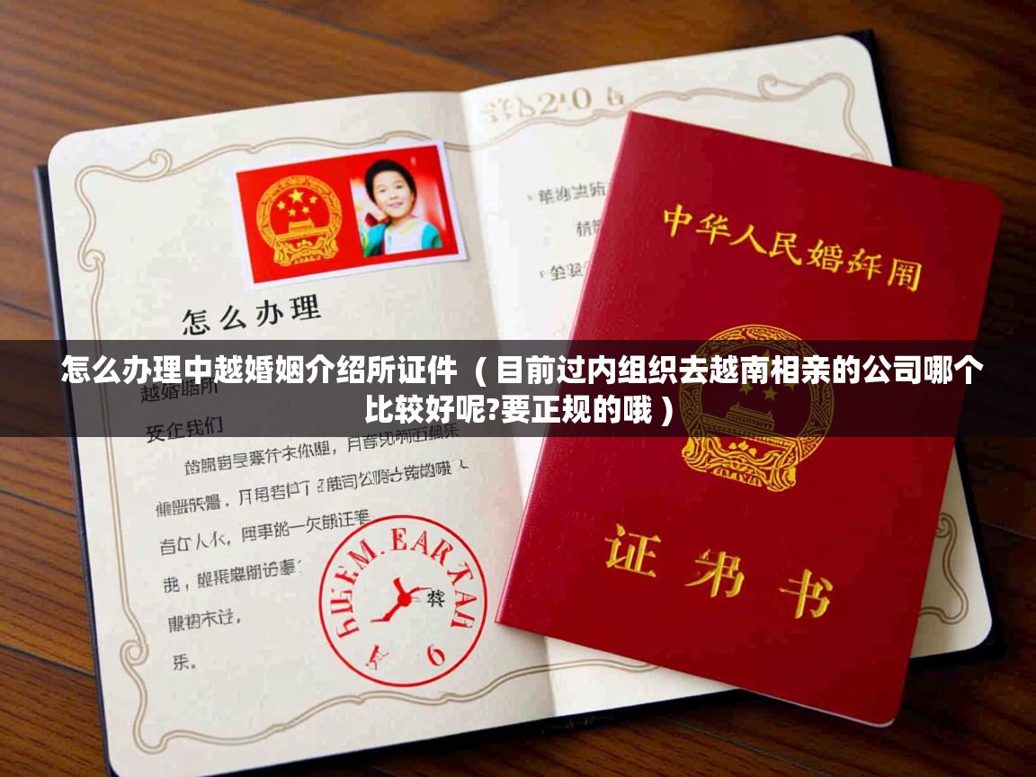  怎么办理中越婚姻介绍所证件  ( 目前过内组织去越南相亲的公司哪个比较好呢?要正规的哦 )