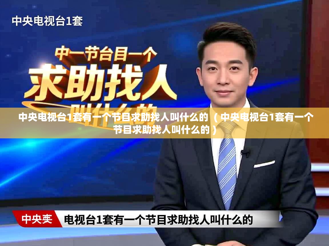  中央电视台1套有一个节目求助找人叫什么的  ( 中央电视台1套有一个节目求助找人叫什么的 )