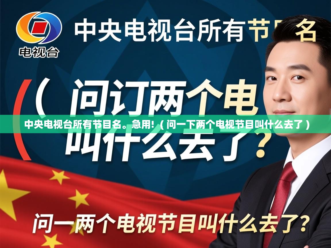  中央电视台所有节目名。急用!  ( 问一下两个电视节目叫什么去了 )