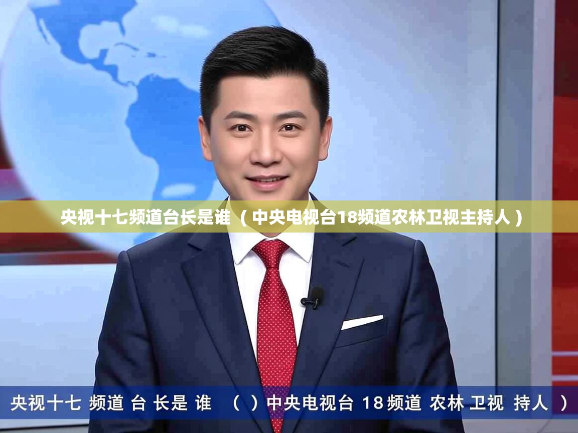  央视十七频道台长是谁  ( 中央电视台18频道农林卫视主持人 )