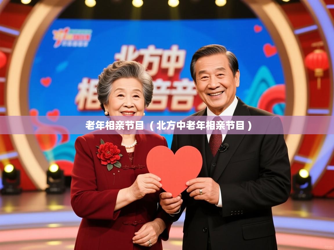  老年相亲节目  ( 北方中老年相亲节目 )