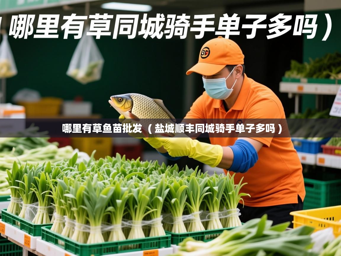 哪里有草鱼苗批发 ( 盐城顺丰同城骑手单子多吗 ) 哪里有草鱼苗批发 ( 盐城顺丰同城骑手单子多吗 )