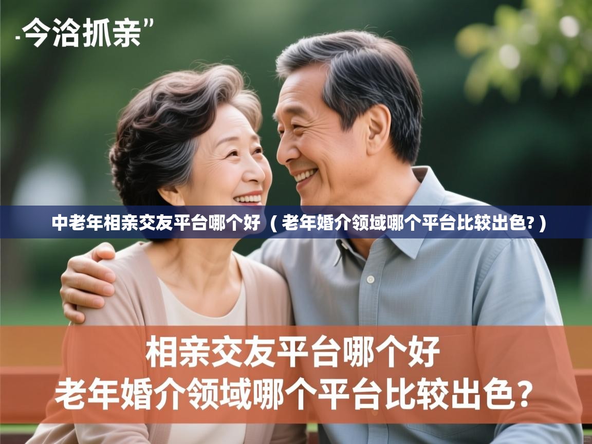  中老年相亲交友平台哪个好  ( 老年婚介领域哪个平台比较出色? )