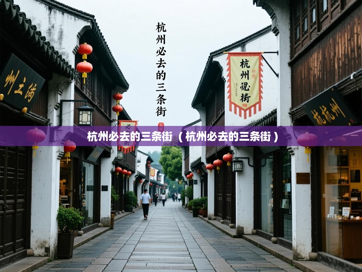  杭州必去的三条街  ( 杭州必去的三条街 )