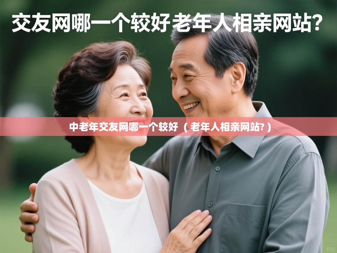  中老年交友网哪一个较好  ( 老年人相亲网站? )