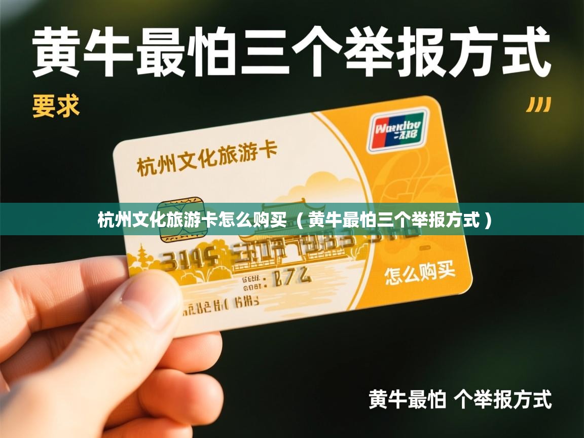  杭州文化旅游卡怎么购买  ( 黄牛最怕三个举报方式 )