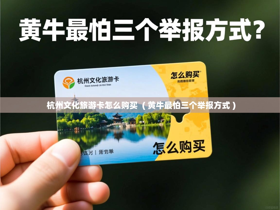  杭州文化旅游卡怎么购买  ( 黄牛最怕三个举报方式 )