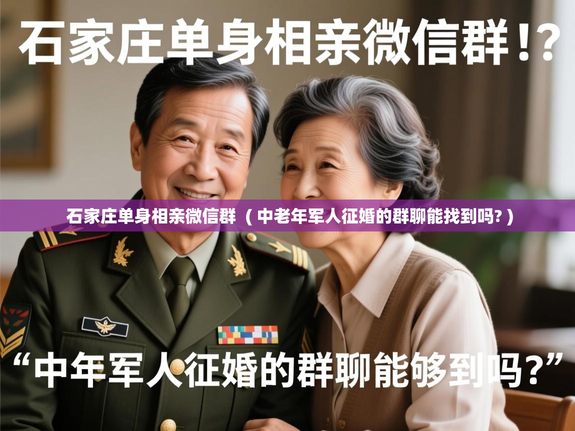  石家庄单身相亲微信群  ( 中老年军人征婚的群聊能找到吗? )
