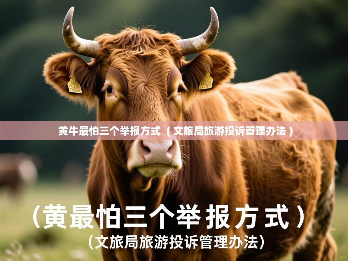  黄牛最怕三个举报方式  ( 文旅局旅游投诉管理办法 )