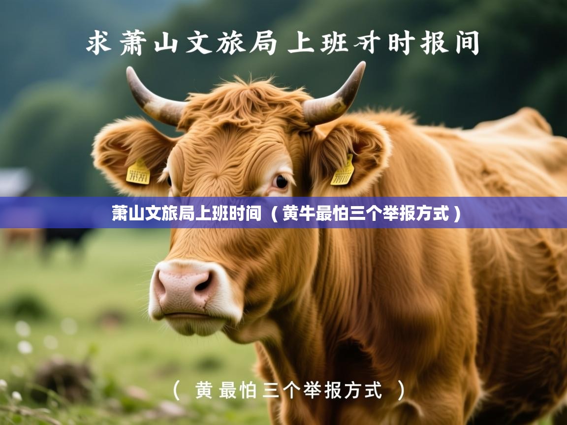  萧山文旅局上班时间  ( 黄牛最怕三个举报方式 )