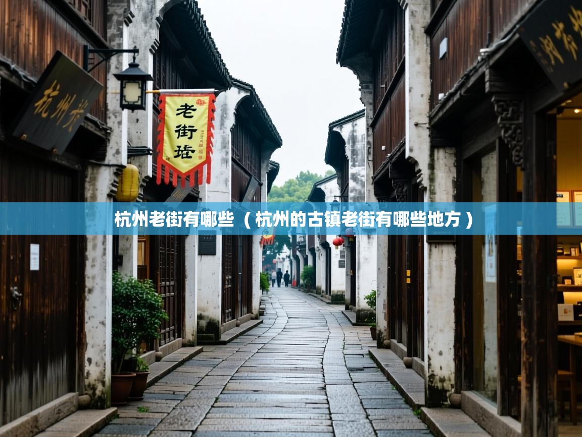  杭州老街有哪些  ( 杭州的古镇老街有哪些地方 )