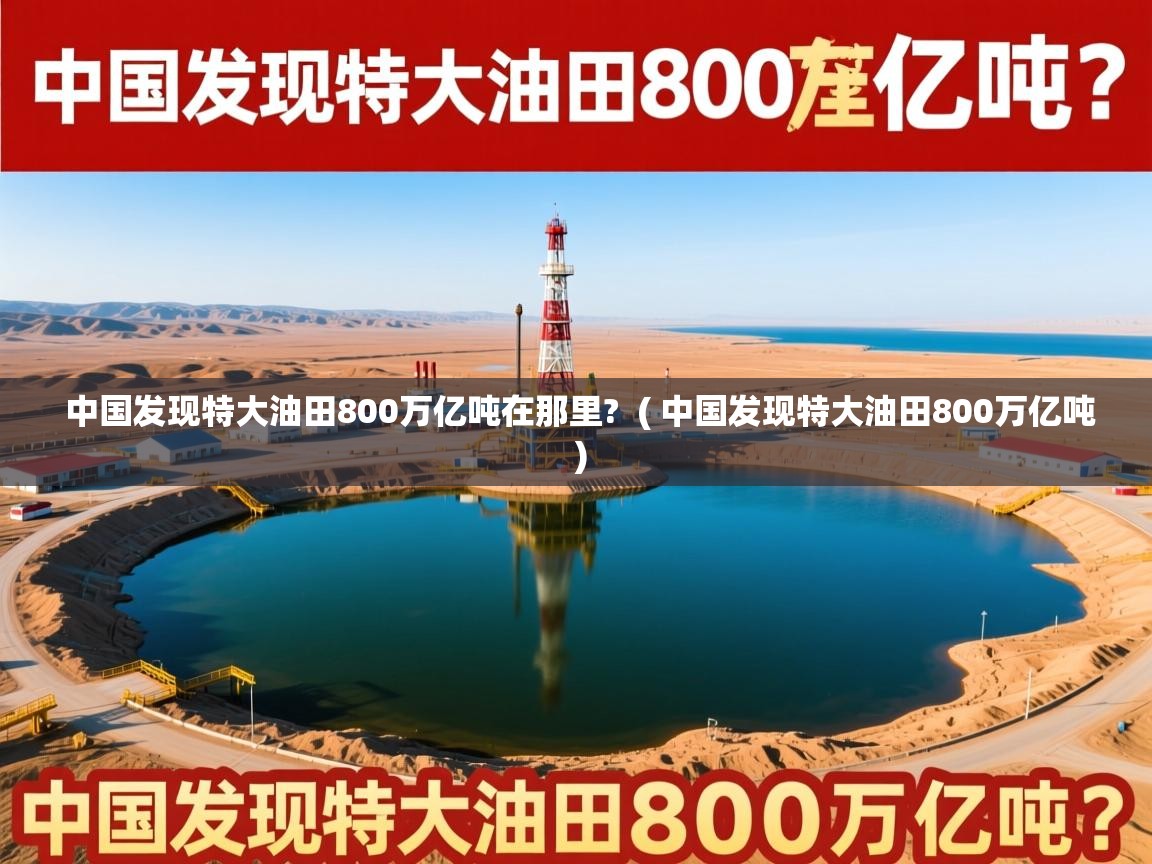  中国发现特大油田800万亿吨在那里?  ( 中国发现特大油田800万亿吨 )
