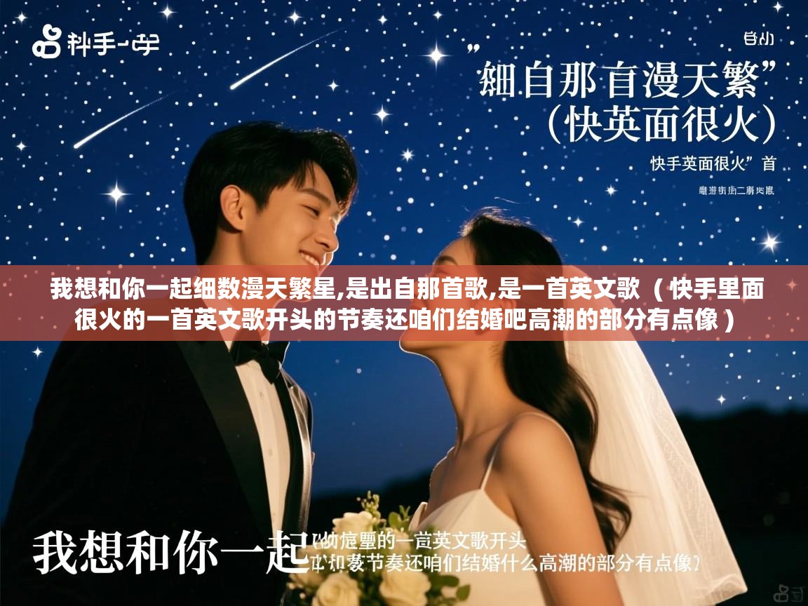  我想和你一起细数漫天繁星,是出自那首歌,是一首英文歌  ( 快手里面很火的一首英文歌开头的节奏还咱们结婚吧高潮的部分有点像 )