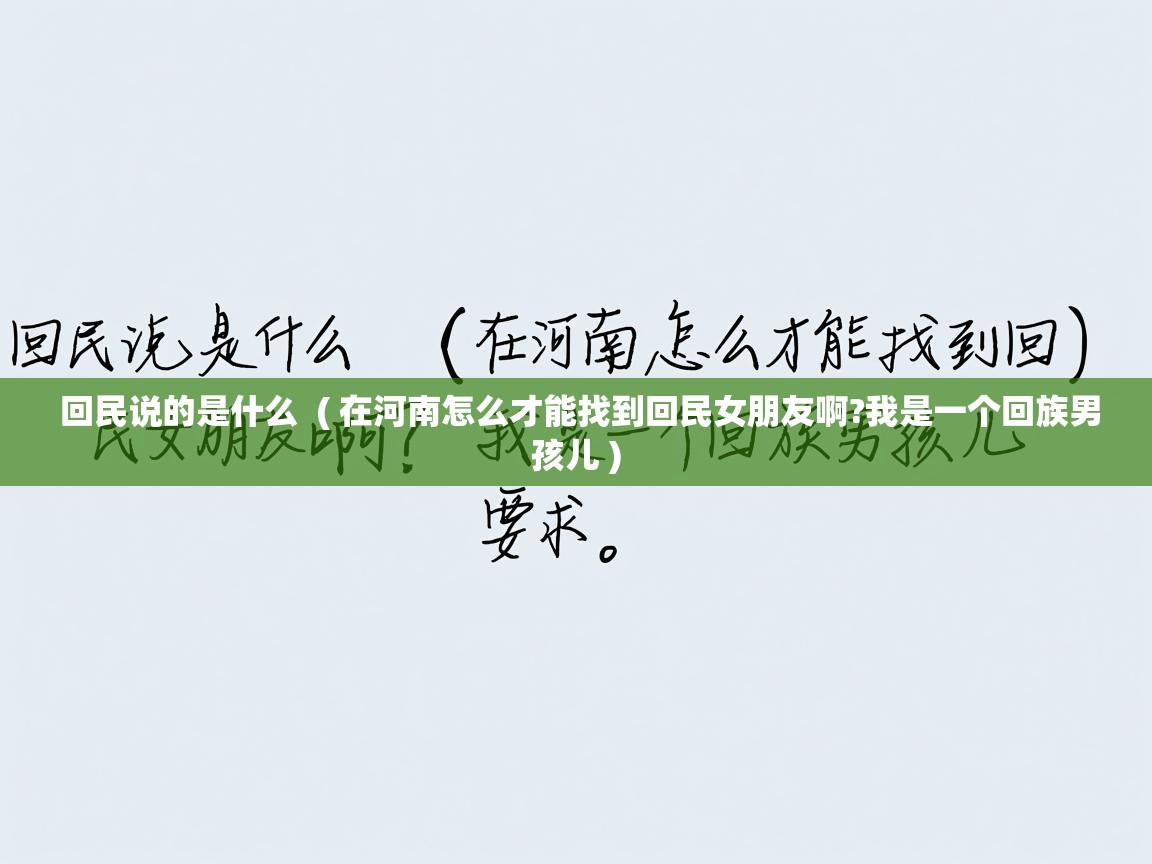  回民说的是什么  ( 在河南怎么才能找到回民女朋友啊?我是一个回族男孩儿 )
