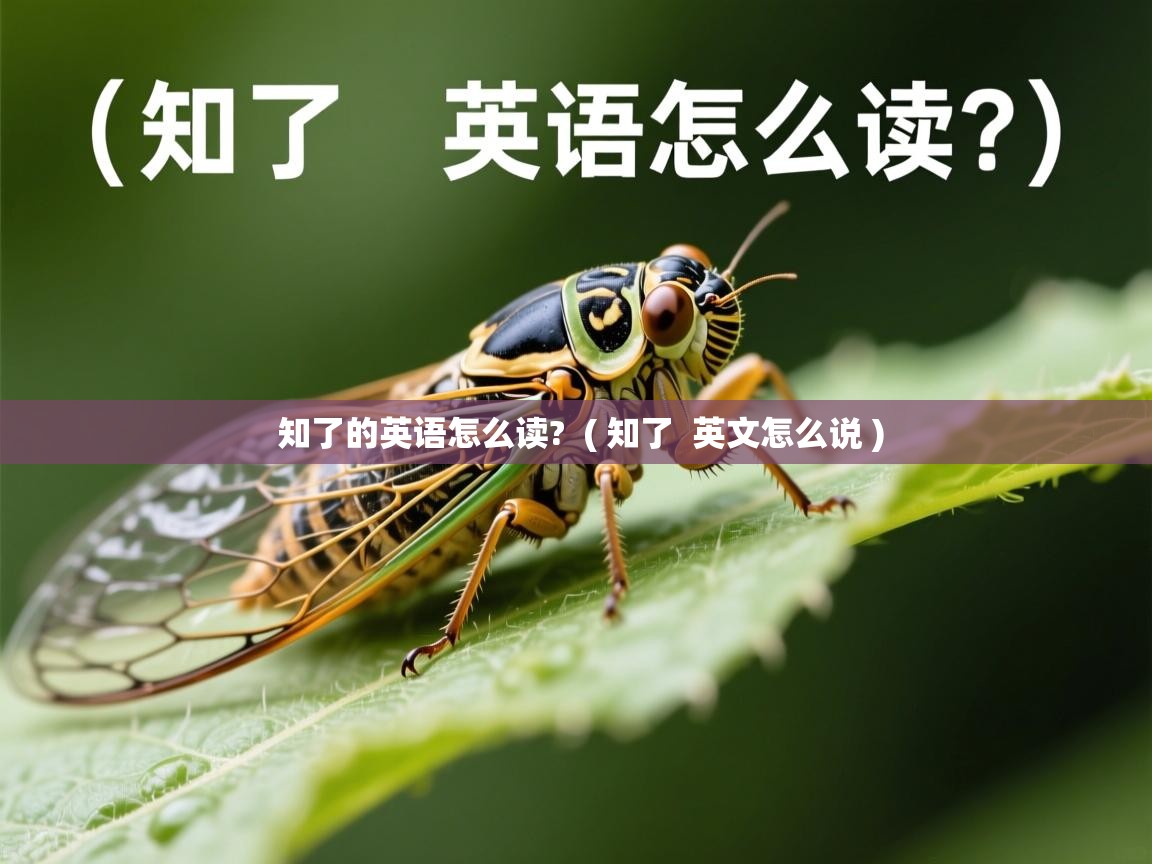  知了的英语怎么读?  ( 知了  英文怎么说 )