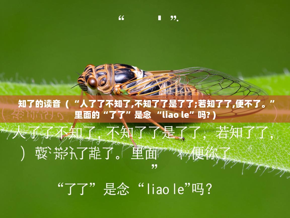  知了的读音  ( “人了了不知了,不知了了是了了;若知了了,便不了。”里面的“了了”是念 “liao le”吗? )