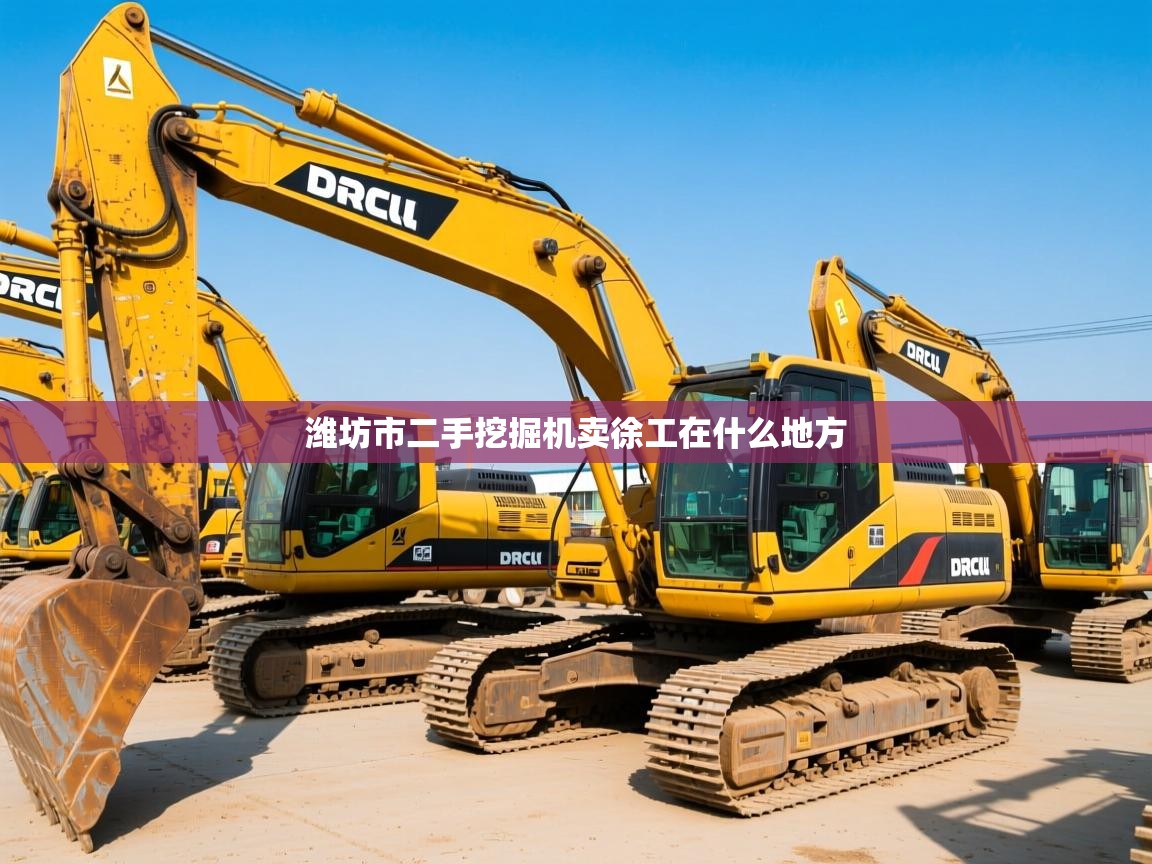 潍坊市二手挖掘机卖徐工在什么地方 