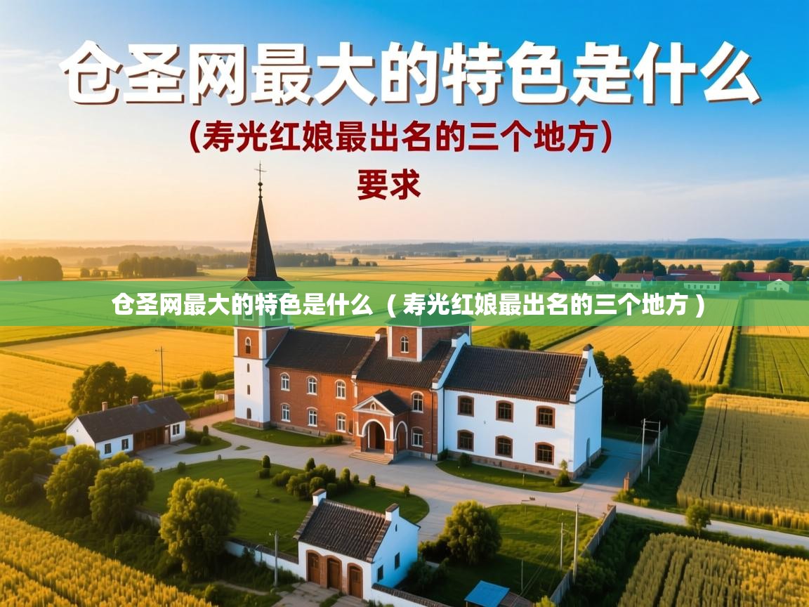  仓圣网最大的特色是什么  ( 寿光红娘最出名的三个地方 )