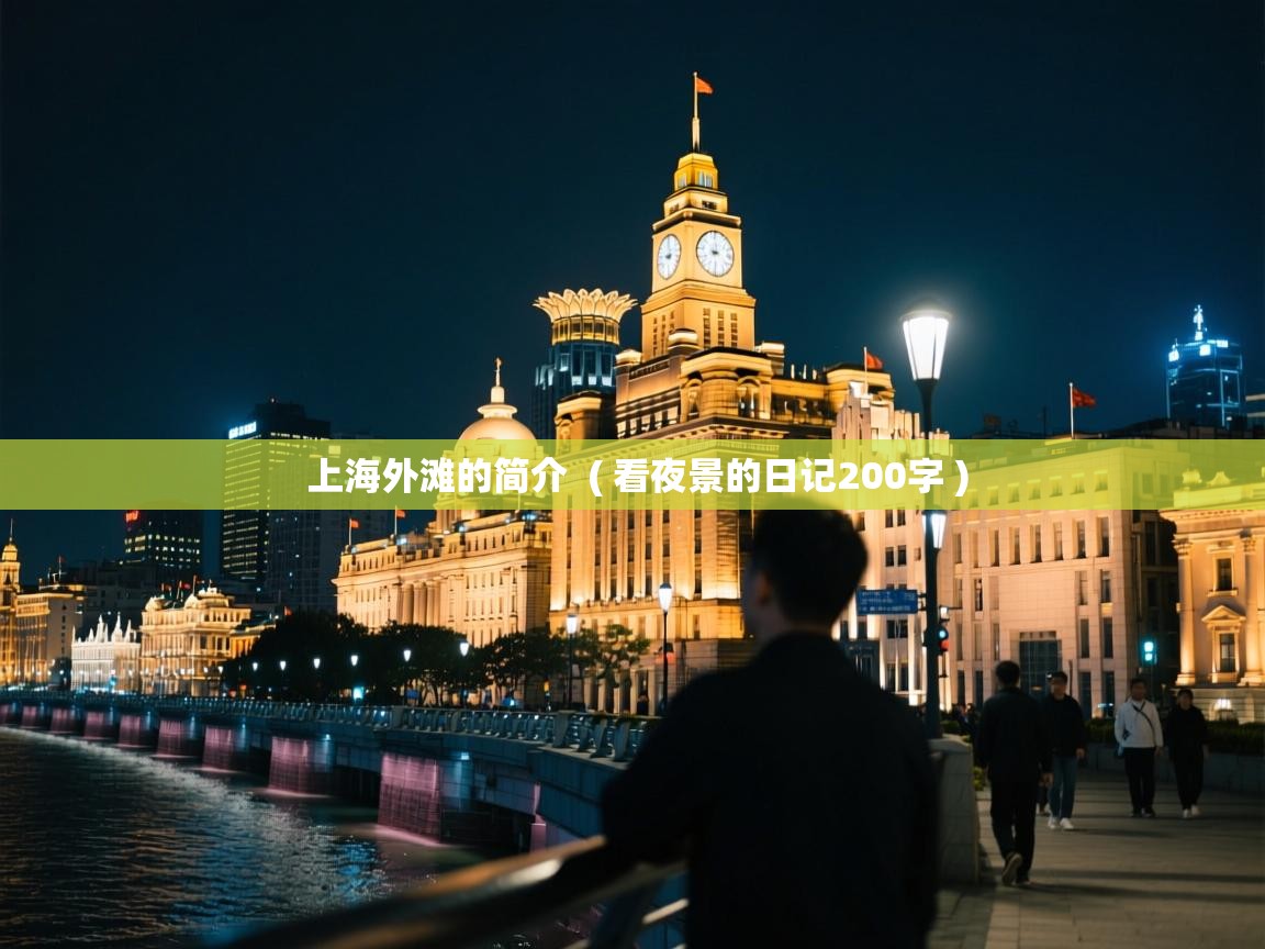  上海外滩的简介  ( 看夜景的日记200字 )