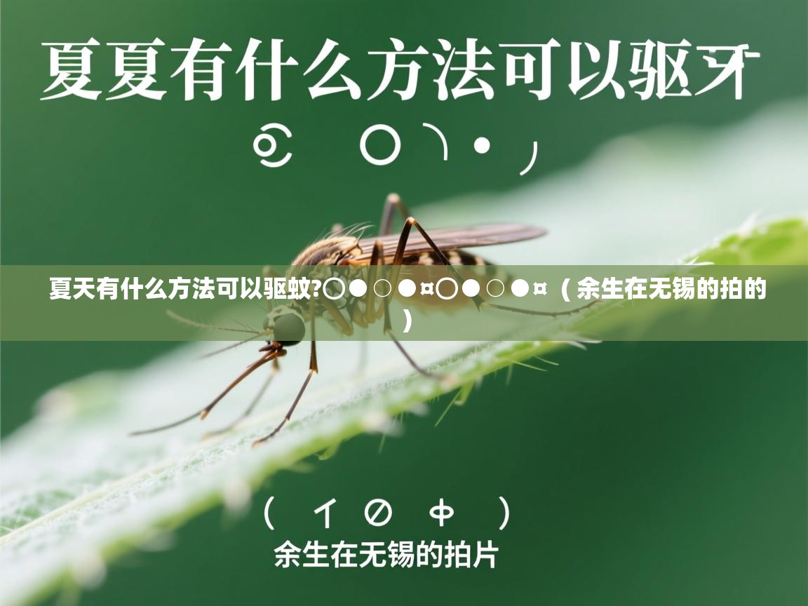  夏天有什么方法可以驱蚊?⊙●○●¤⊙●○●¤  ( 余生在无锡的拍的 )