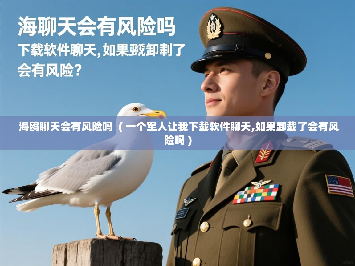 海鸥聊天会有风险吗 ( 一个军人让我下载软件聊天,如果卸载了会有风险吗 ) 海鸥聊天会有风险吗 ( 一个军人让我下载软件聊天,如果卸载了会有风险吗 )