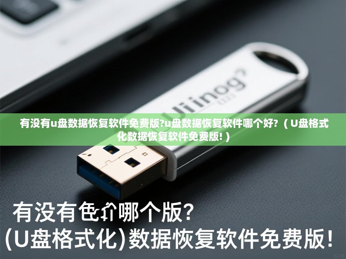  有没有u盘数据恢复软件免费版?u盘数据恢复软件哪个好?  ( U盘格式化数据恢复软件免费版! )