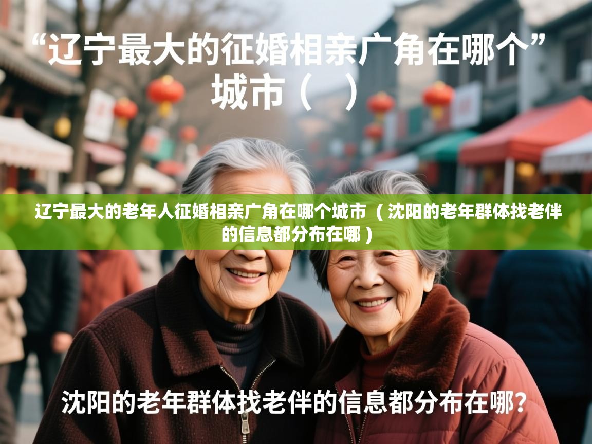  辽宁最大的老年人征婚相亲广角在哪个城市  ( 沈阳的老年群体找老伴的信息都分布在哪 )