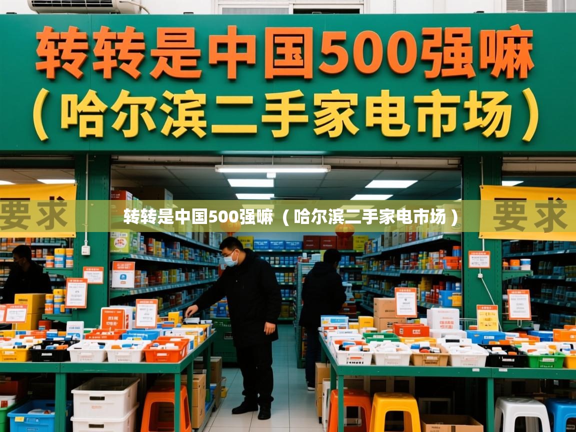  转转是中国500强嘛  ( 哈尔滨二手家电市场 )