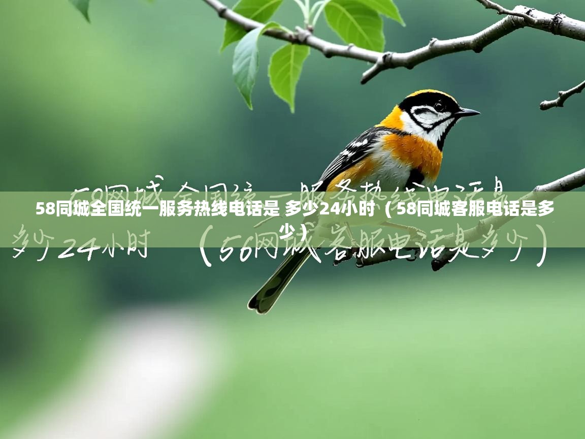  58同城全国统一服务热线电话是 多少24小时  ( 58同城客服电话是多少 )