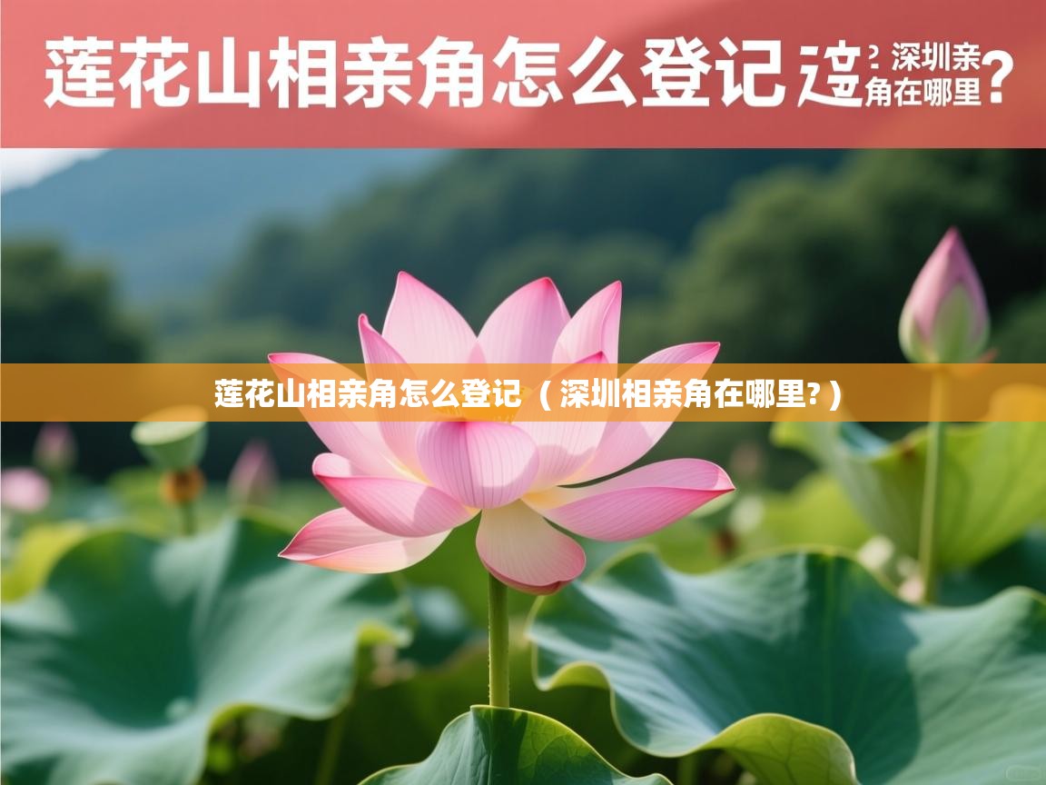  莲花山相亲角怎么登记  ( 深圳相亲角在哪里? )