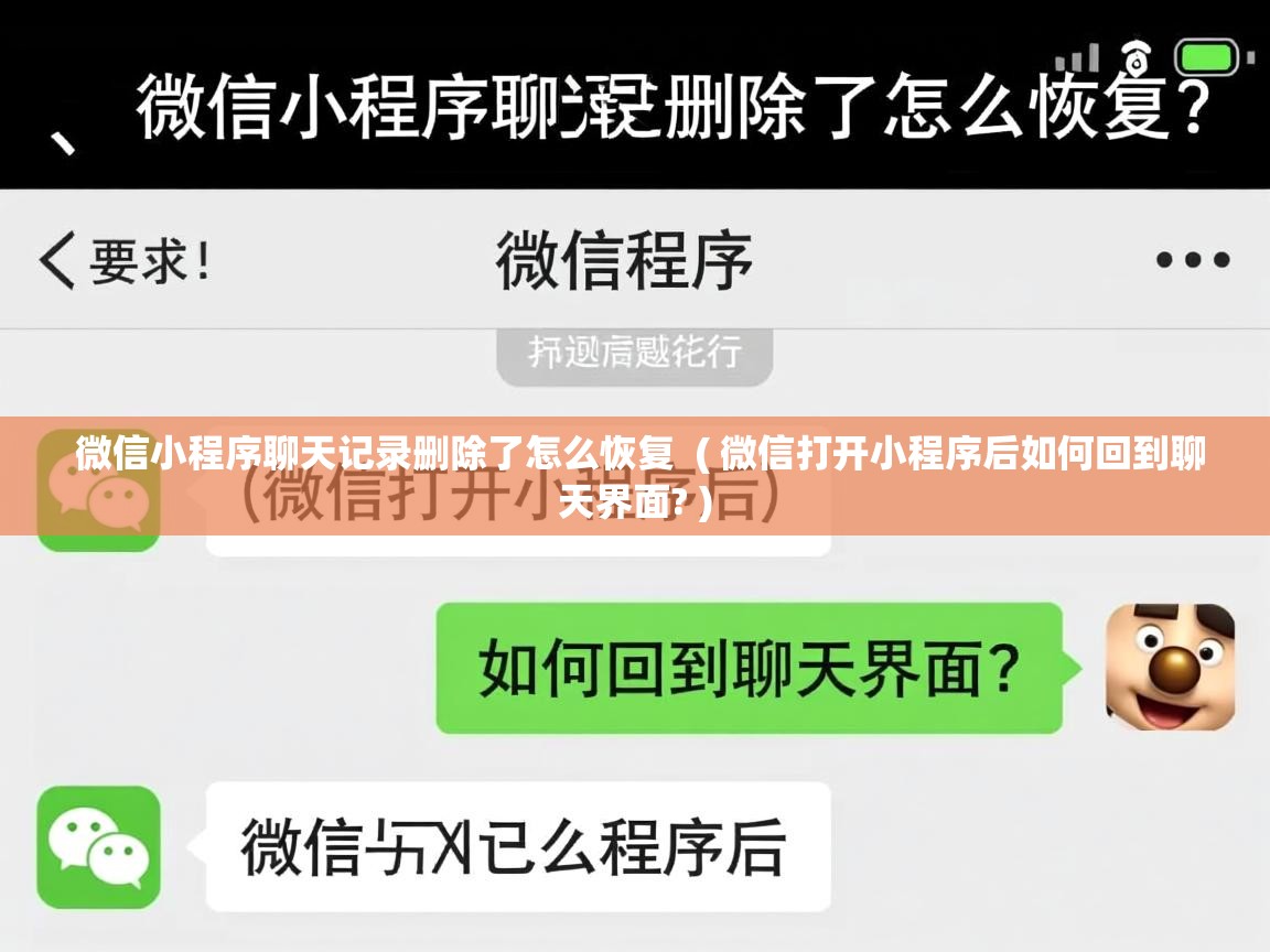  微信小程序聊天记录删除了怎么恢复  ( 微信打开小程序后如何回到聊天界面? )