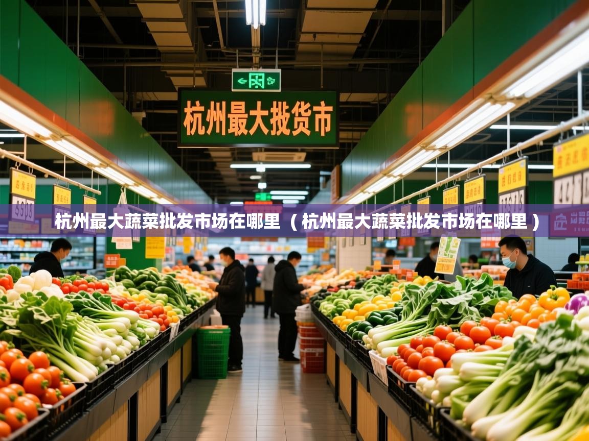  杭州最大蔬菜批发市场在哪里  ( 杭州最大蔬菜批发市场在哪里 )