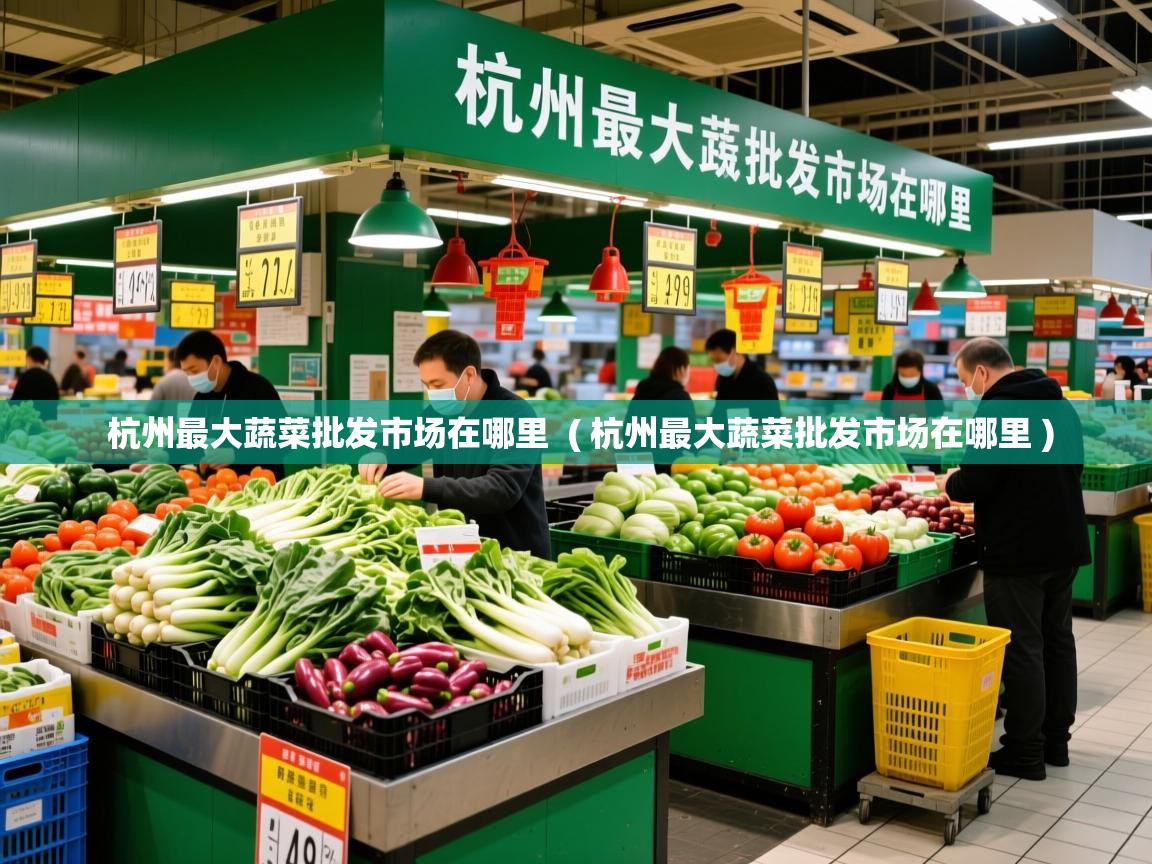  杭州最大蔬菜批发市场在哪里  ( 杭州最大蔬菜批发市场在哪里 )