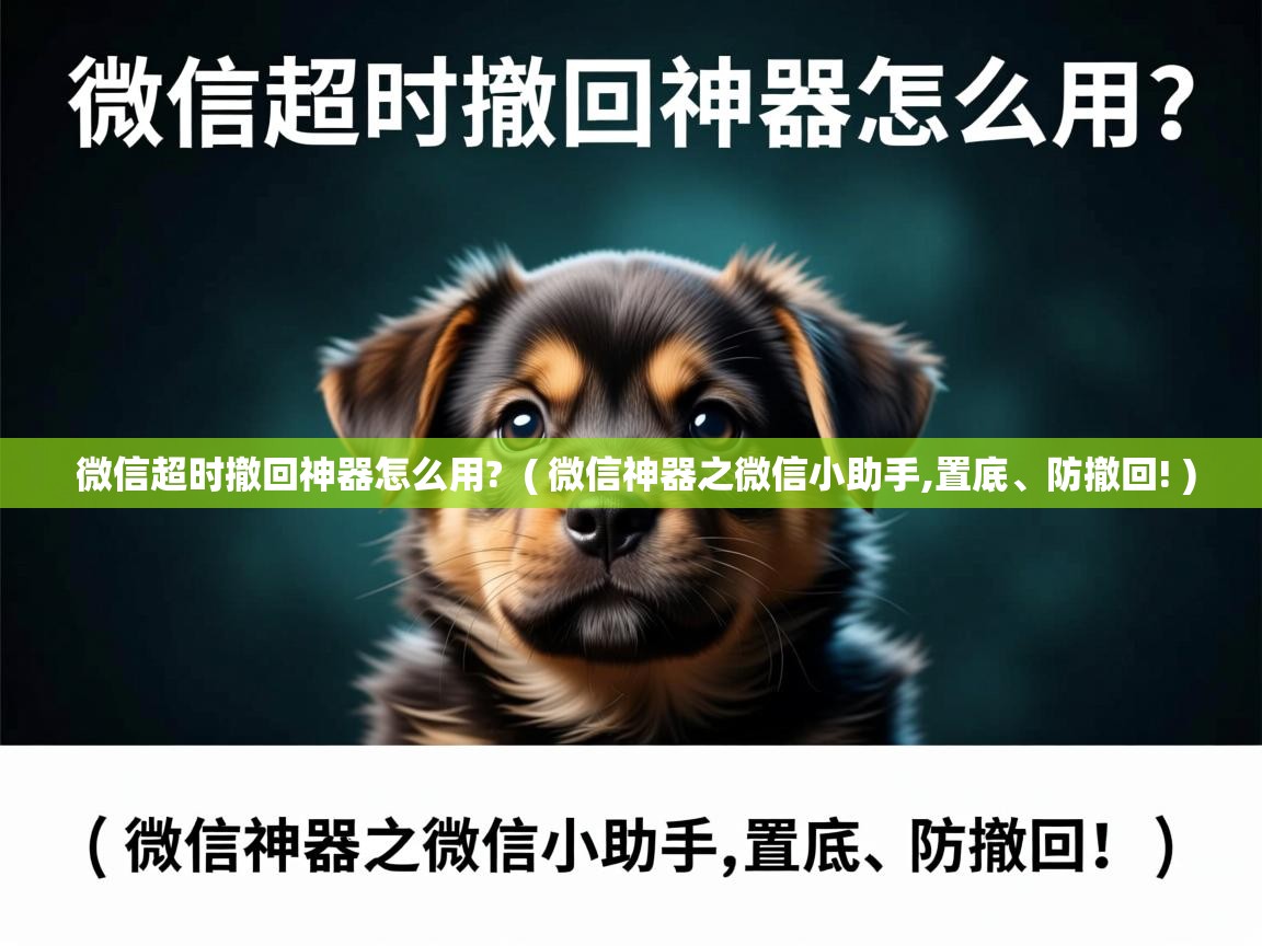  微信超时撤回神器怎么用?  ( 微信神器之微信小助手,置底、防撤回! )