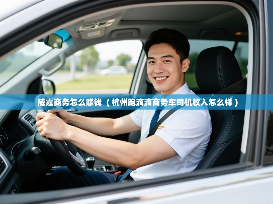  威霆商务怎么赚钱  ( 杭州跑滴滴商务车司机收入怎么样 )