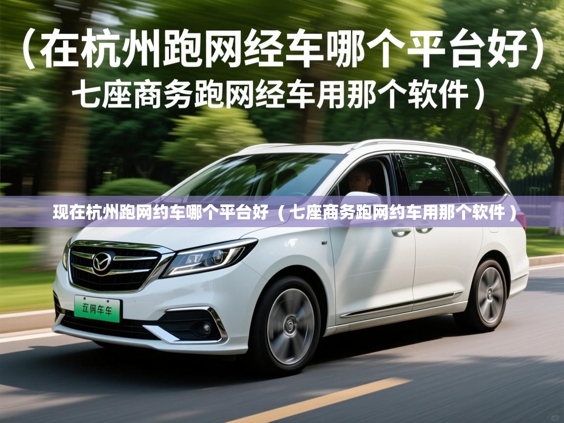  现在杭州跑网约车哪个平台好  ( 七座商务跑网约车用那个软件 )